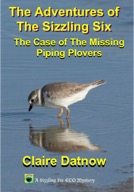 Piping Plover cover